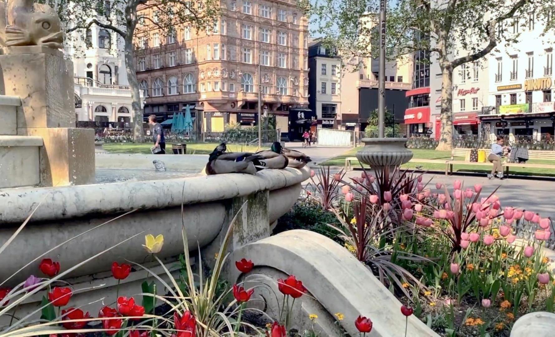 Fantastic 1 Bedroom Flat Leicester Square West End Londres Extérieur photo